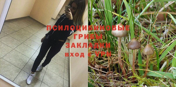 PSILOCYBIN Верхнеуральск