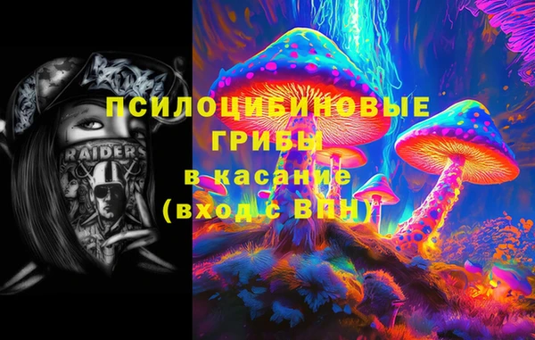 PSILOCYBIN Бородино