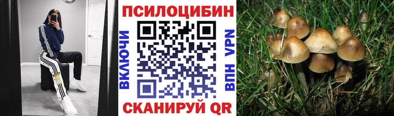 Галлюциногенные грибы ЛСД  Купить закладки  Ивдель 